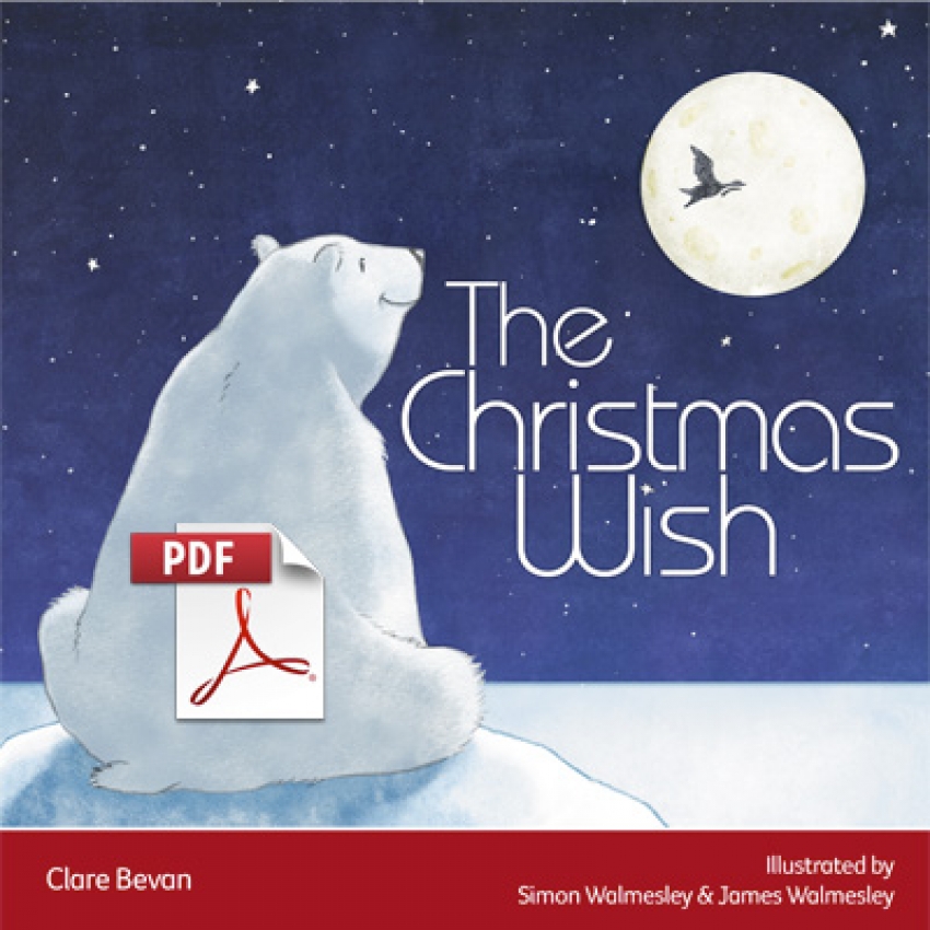 The Christmas Wish ebook