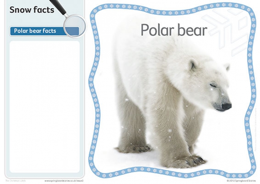 Snow fact cards – image only