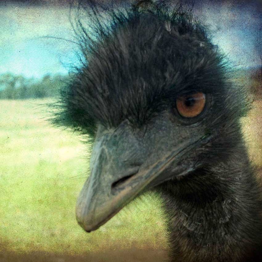 Beyond belief: Fact or fiction