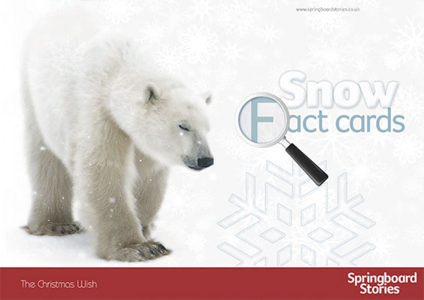 Snow fact cards