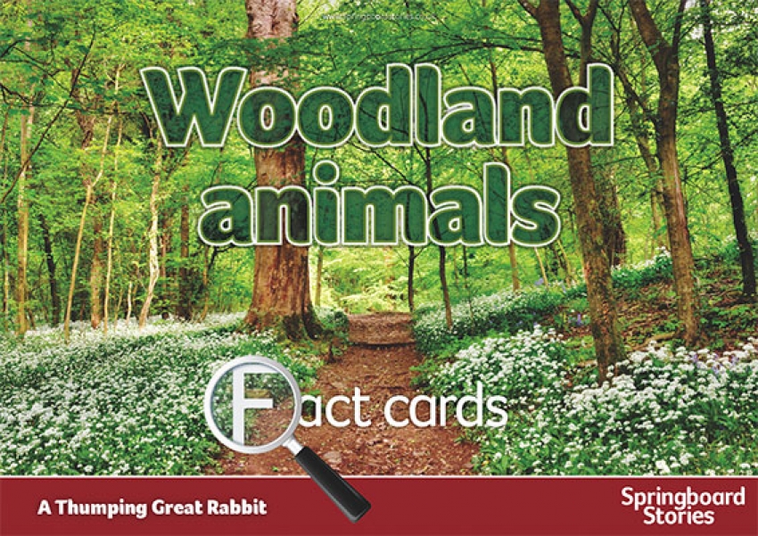 Woodland fact cards primary resource