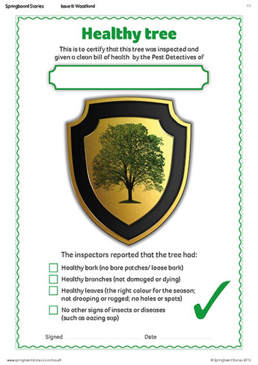 Healthy tree certificate