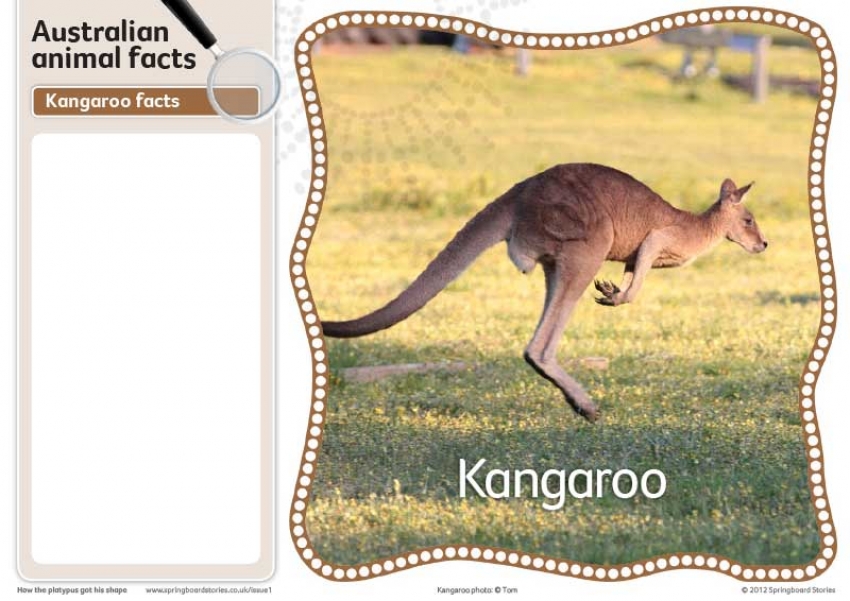 Australian fact cards - images