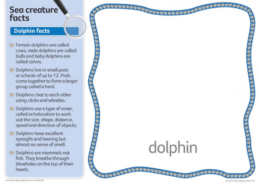 The sea fact cards &ndash; text