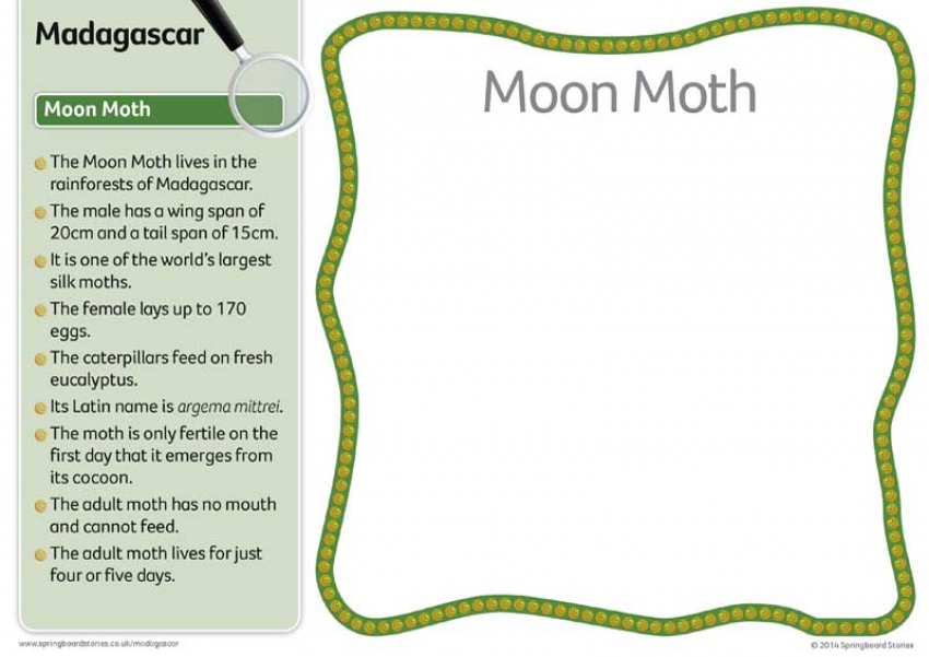 Madagascar fact cards &ndash; text