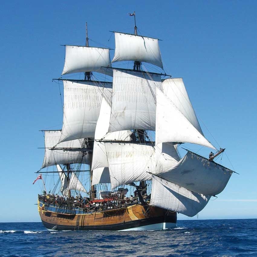 Life on the ocean wave