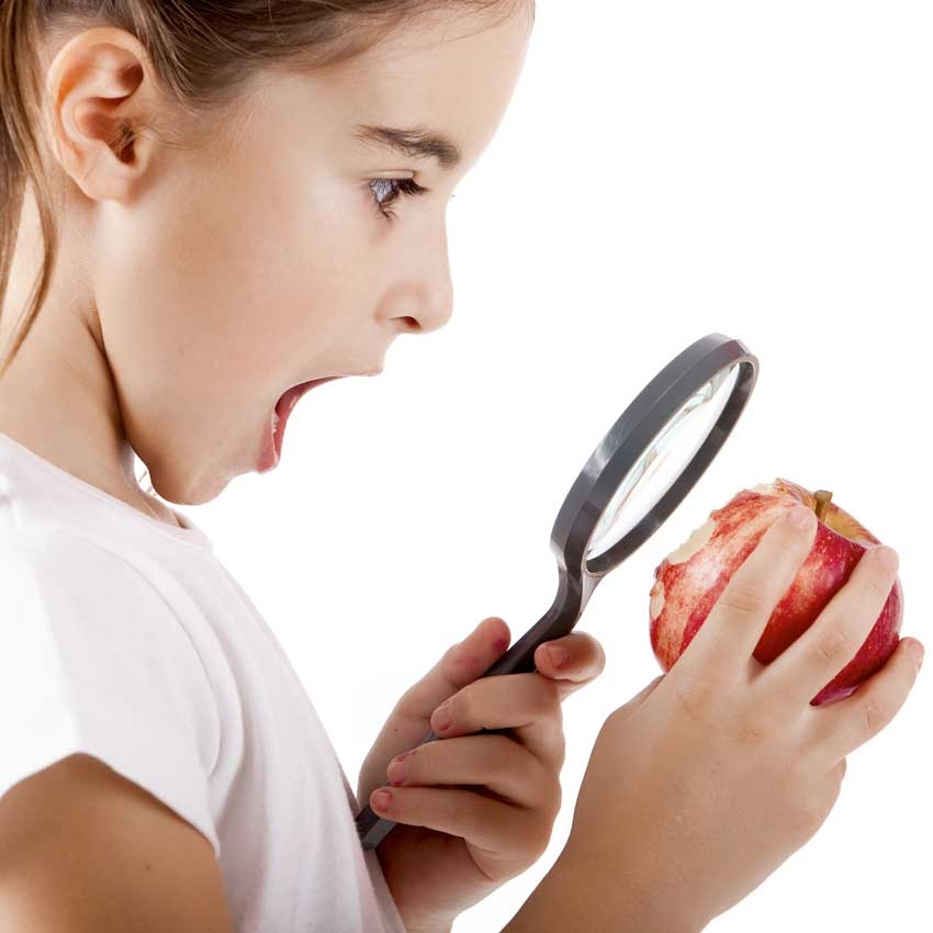 Food inspectors
