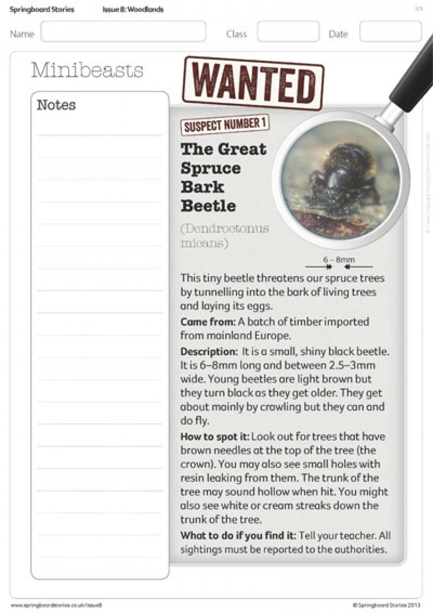 Wanted for crimes against trees primary resource