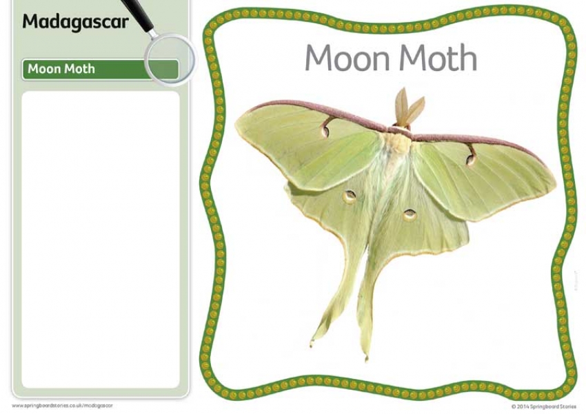 Madagascar fact card image only