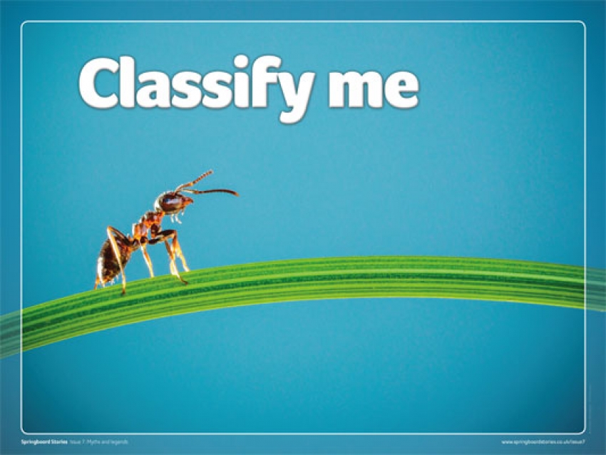 Classify me slideshow